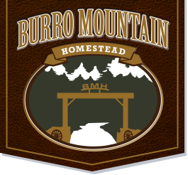 Burro Mountain Homestead