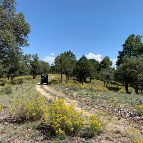 Off-road ATV and UTV trails offering adventurous rides