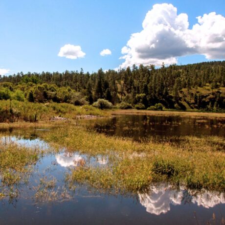 Lake Roberts nestled within the natural landscape of Gila National Forest